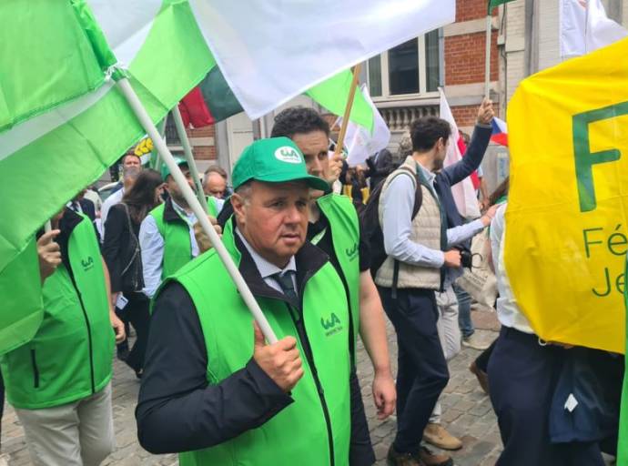 Crisi nocciole in Piemonte, Carenini (Cia): "Perdite fino al 70%, serve lo stato di calamità naturale"